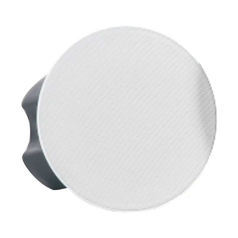 Haut-parleur de plafond Dante